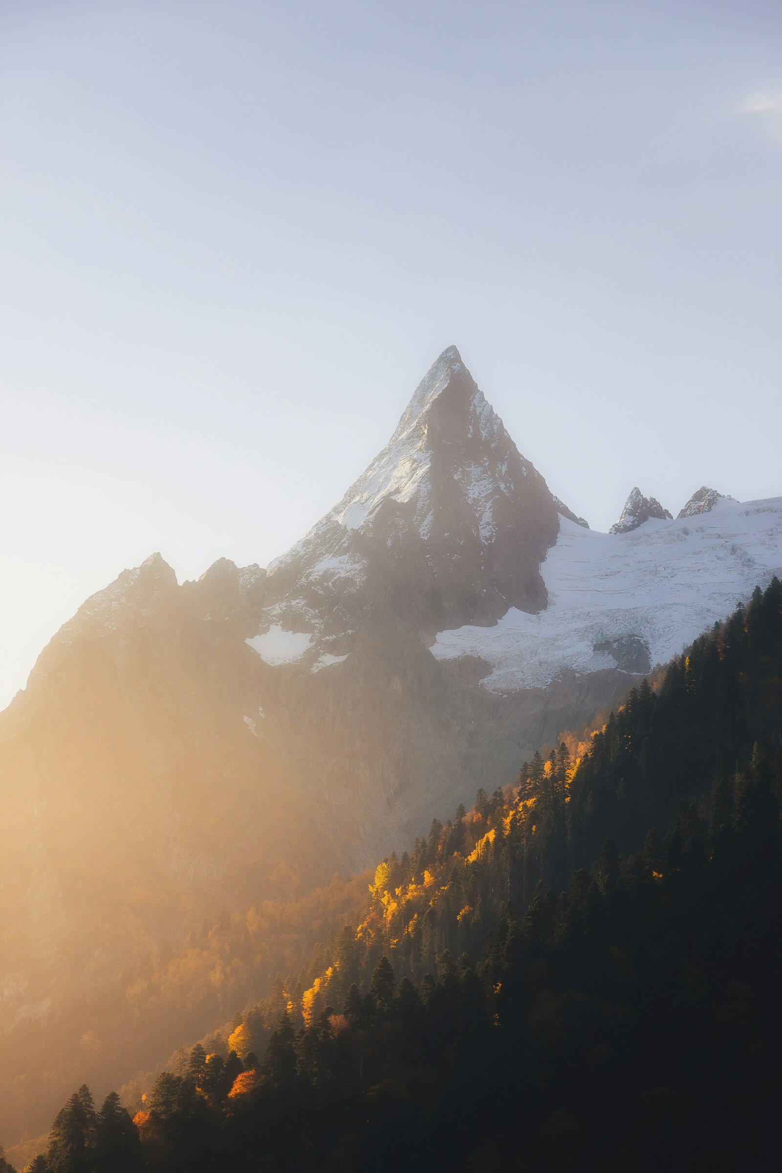 Snow-covered mountain peak above evergreen forest in morning light
